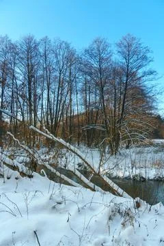 Winter forest landscape. View of the forest covered with snow during sunset.  Stock Photos