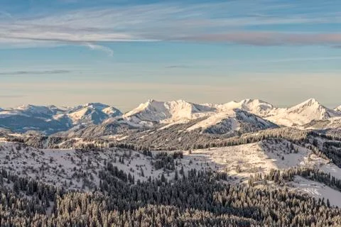 Winter forest on mountain range Stock Photos