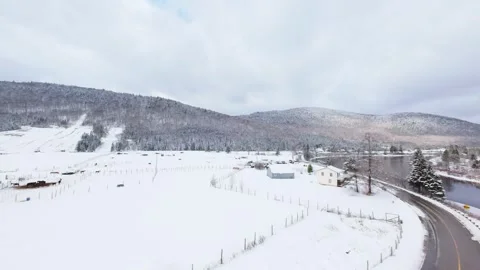 Winter Forest Mountain Slope Aerial Stock Footage 321624461