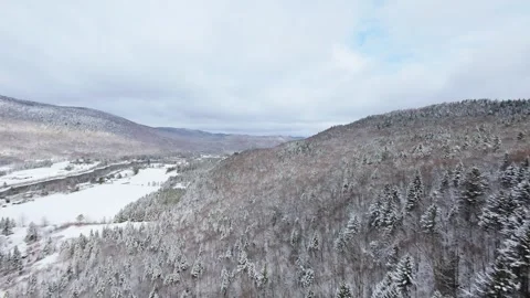 Winter Forest Mountain Slope Aerial 스톡 동영상 321624486