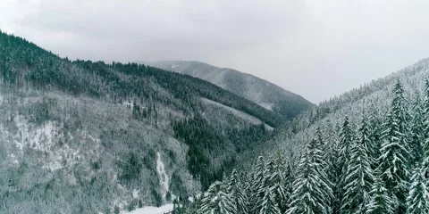 Winter forest in mountain, view from drone, new year and Christmas landscape Stock Footage 281337726