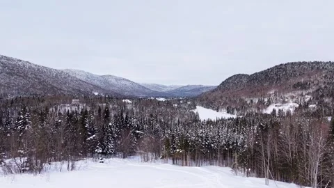 Winter forest mountains in Canada aerial view Stock Footage 327996217