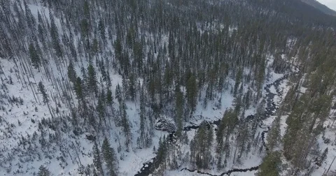 Winter forest in mountains Stock Footage 72627302