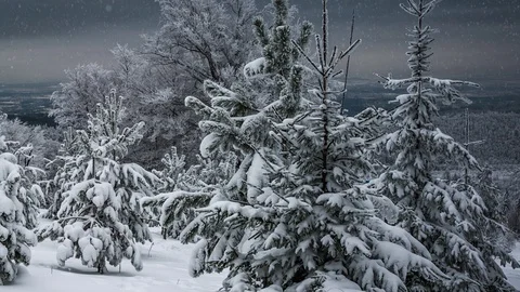 Winter forest in the mountains Video stock 100141727