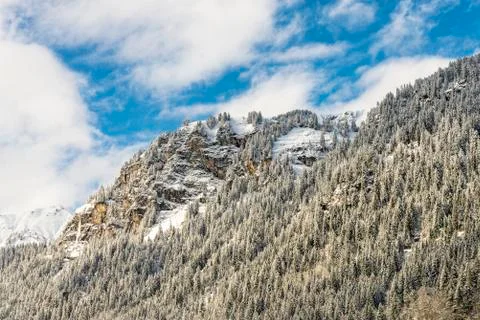 Winter forest in mountains Stock Photos
