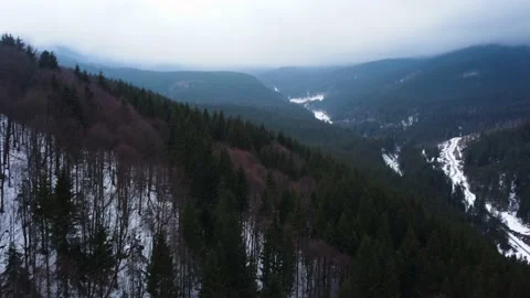 Winter forest in the mountains. spruce trees. 4k drone footage. Stock Footage 168739015