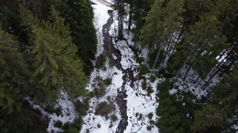 Winter forest in the mountains. spruce trees. aerial drone shot. Stock Footage 169158901