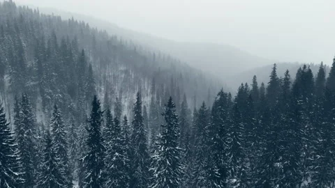 Winter forest mountains storm ice cold aerial tree Video stock 143819672
