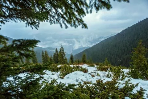 Winter forest in the mountains, sunrise Stock Photos