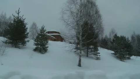 Winter forest on a nasty cold day view Stock Footage 77078933