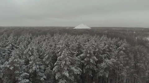 Winter Forest Nature Snow Covered Winter Trees Alpine Landscape Early Morning Stock Footage 146680554