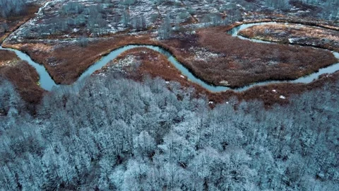Winter Forest Nature Snow Covered Winter Trees Alpine Landscape Video stock 155992001
