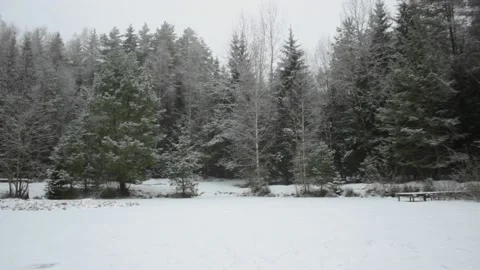Winter forest pan from the middle of frozen lake Stock Footage 145200428