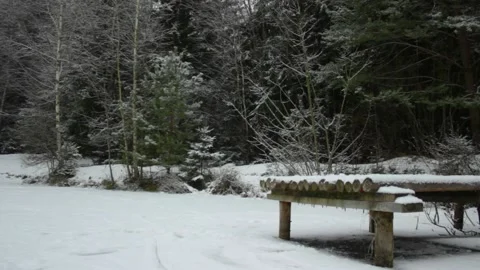 Winter forest pan from the middle of frozen lake with wooden pier Stock Footage 145200499