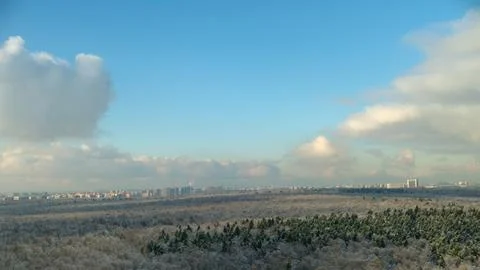 Winter forest panorama with distant city skyline, time lapse. A wide aerial view Stock Photos