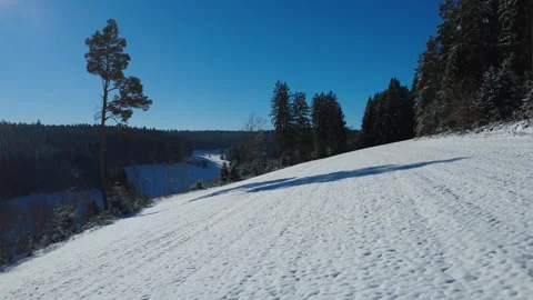Winter forest panorama with sunlight from above Stock Footage 325206721