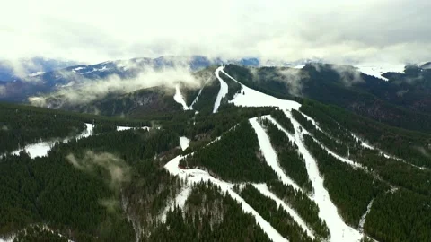 Winter forest, panoramic view. Carpathians 2018 Stock Footage 202317019