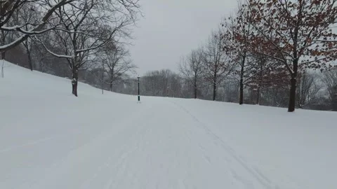 Winter Forest Park With Bare Trees and Snow Stock Footage 323423133