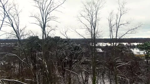 Winter forest park covered in snow, cold weather West Babylon Long Island Vídeos de archivo 301068680