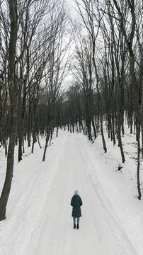 Winter Forest Path Stock Photos