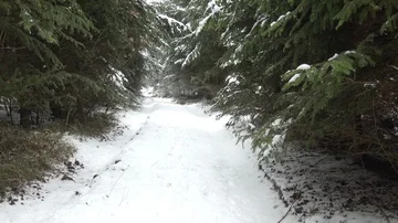Winter forest. Path in the woods in the snow. Stock Footage 86123861