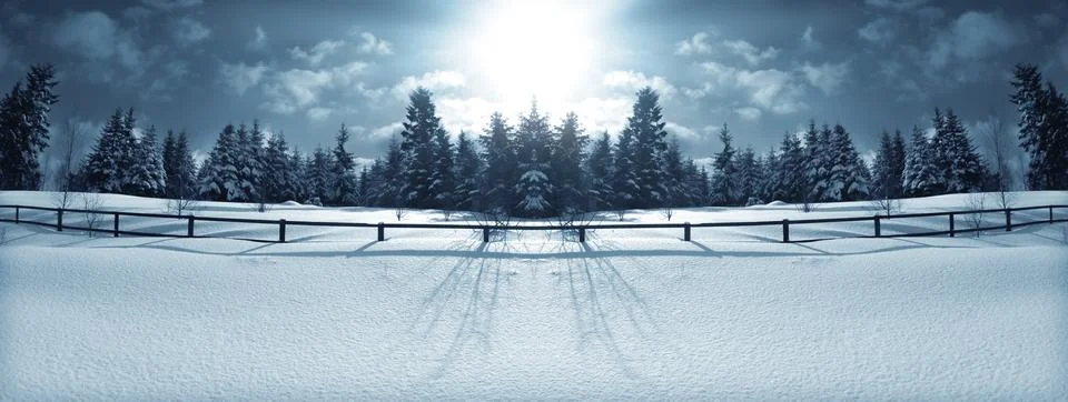 Winter forest Stock Photos