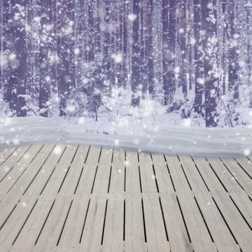 Winter forest Stock Photos