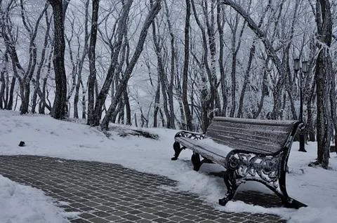 Winter forest Foto stock