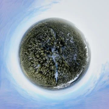 Winter forest 스톡 사진