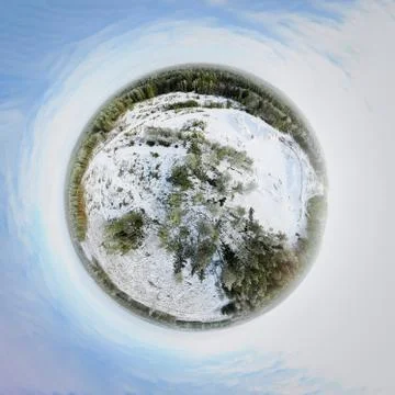 Winter forest Stock-Fotos