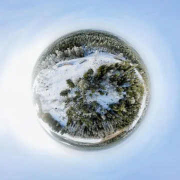 Winter forest Stock-Fotos