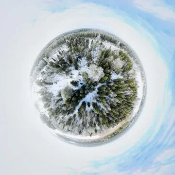 Winter forest Foto stock