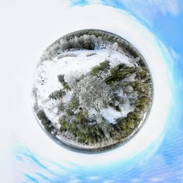 Winter forest Stock-Fotos