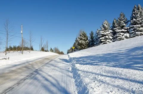 Winter forest Stock Photos