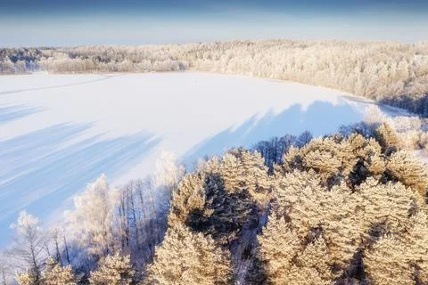 Winter forest Stock Photos