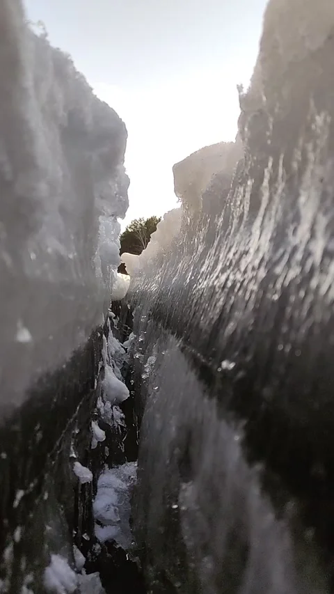 Winter forest. Pine trunk in snow. Stock Footage 237855188