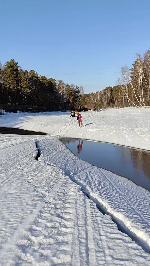 Winter forest. Pine trunk in snow. Stock Footage 237855190
