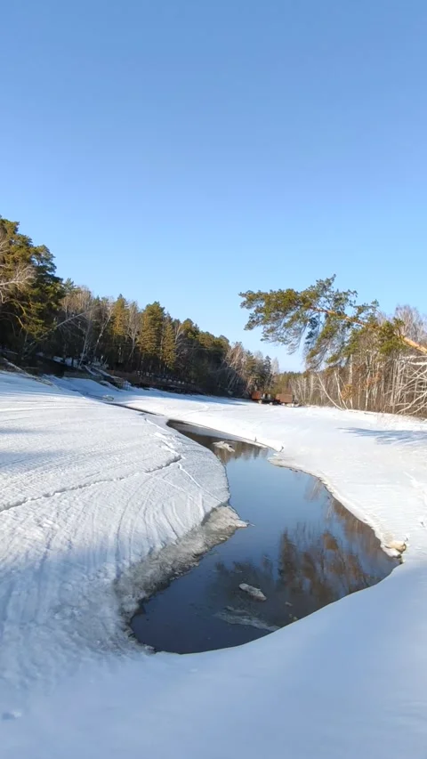 Winter forest. Pine trunk in snow. Stock Footage 237855195