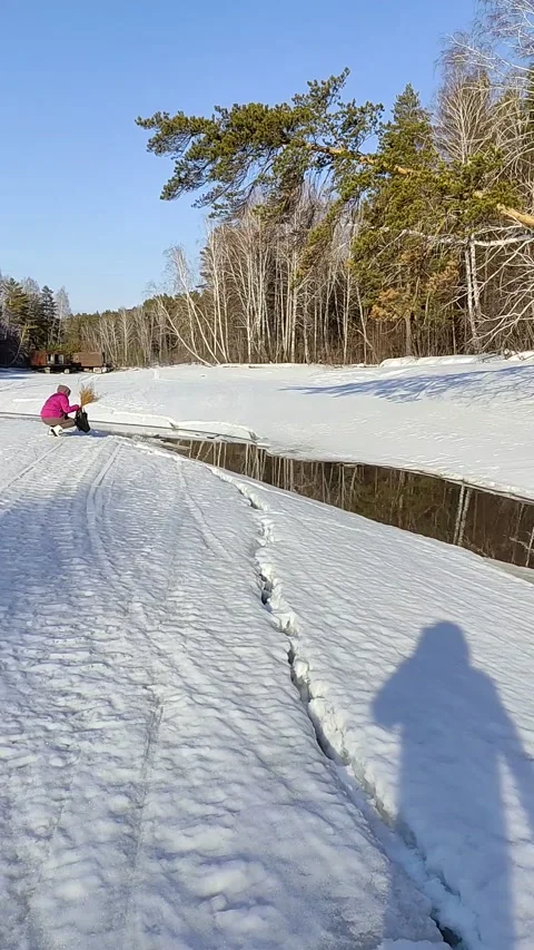 Winter forest. Pine trunk in snow. Stock Footage 237855196