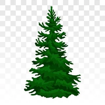 Winter forest pine. Winter fir tree. Eps 10. pine trees covered in snow. Re.. Stock Illustration