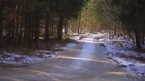 Winter forest in poland Stock Footage 58654673