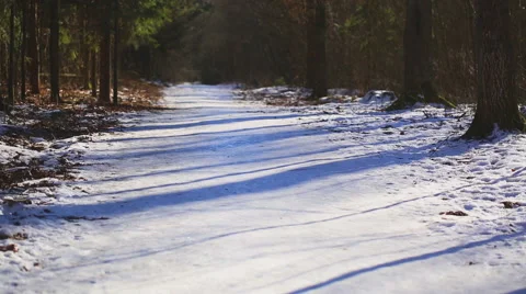 Winter forest in poland Stock Footage 58655040