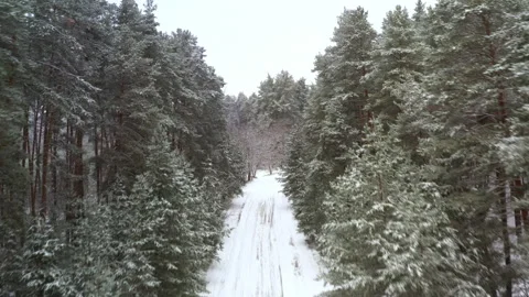 Winter Forest POV over road - first-person view on a snowy forest road during Stock Footage 143710050