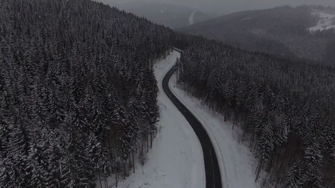 Winter forest qerial view. 4k Stock-Footage 83925803