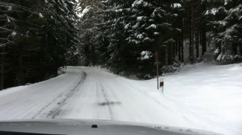 Winter Forest Ride #03, Steady Video stock 49780235