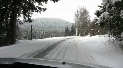 Winter Forest Ride #04, Steady Video stock 49779492
