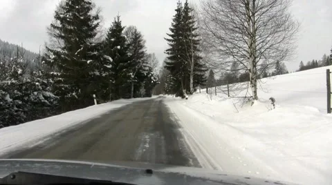 Winter Forest Ride #05, Steady Video stock 49780243