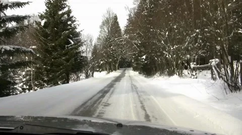 Winter Forest Ride #06, Steady Video stock 49780188