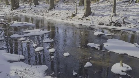 Winter Forest River Flowing Past Snow-Covered Banks and Rocks Video stock 342515257