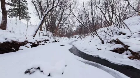 Winter forest river frozen by cold weather Stock Footage 323339012